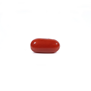 Red Coral - Moonga - 2.6 Carat - Pramogh