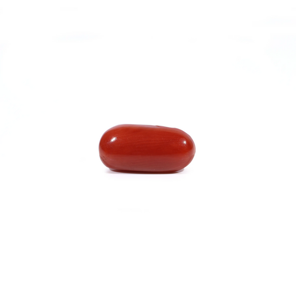 Red Coral - Moonga - 2.6 Carat - Pramogh