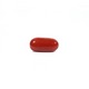 Red Coral - Moonga - 2.6 Carat - Pramogh