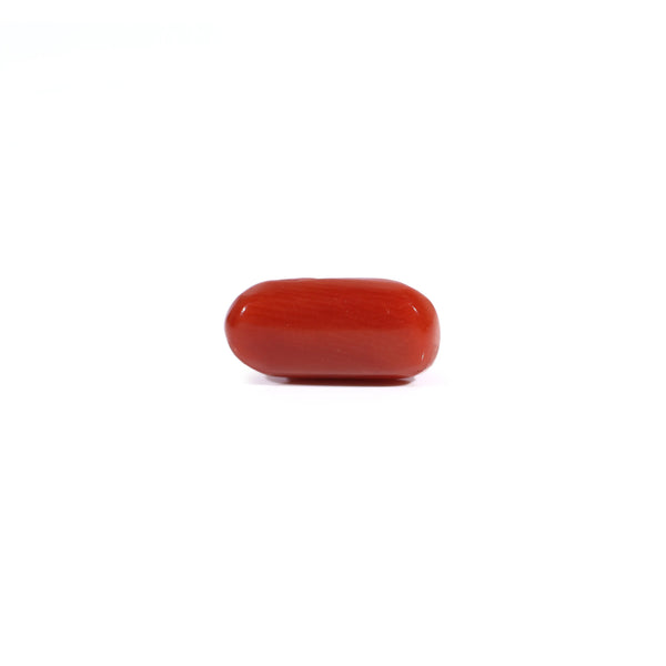 Red Coral - 2.6 Carat