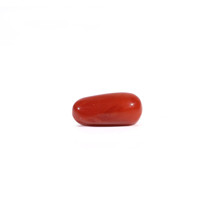Red Coral - 2.6 Carat