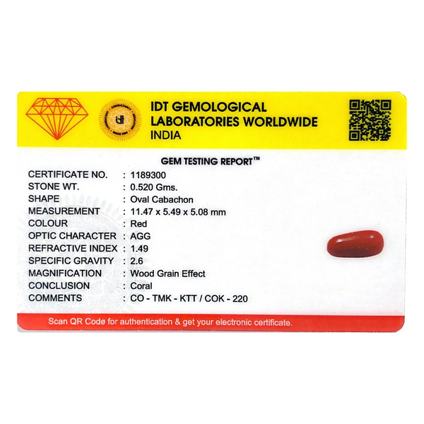 Red Coral - 2.6 Carat