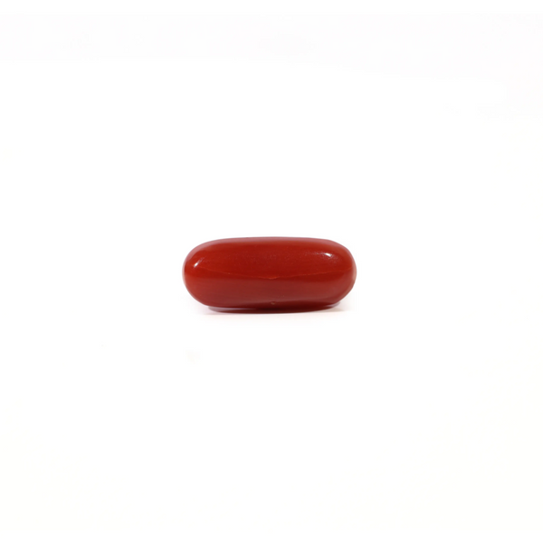 Red Coral - Moonga - 2.45 Carat - Pramogh