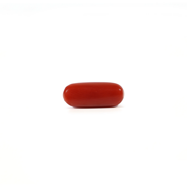Red Coral - 2.45 Carat