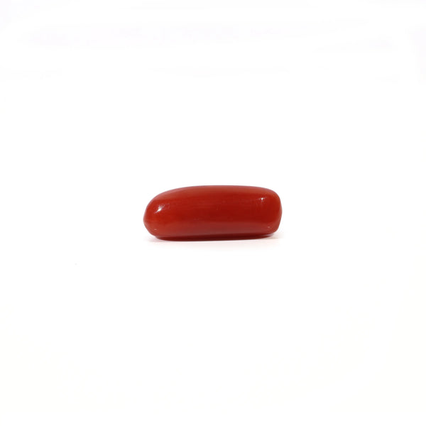 Red Coral - 2.45 Carat