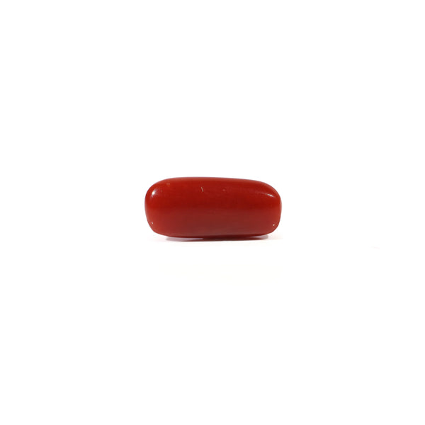 Red Coral - 2.5 Carat