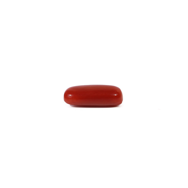 Red Coral - 2.5 Carat