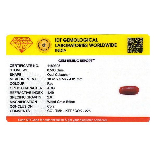 Red Coral - 2.5 Carat