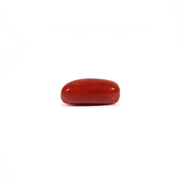Red Coral - 3 Carat