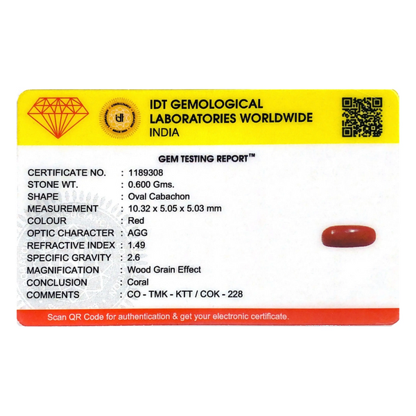 Red Coral - 3 Carat