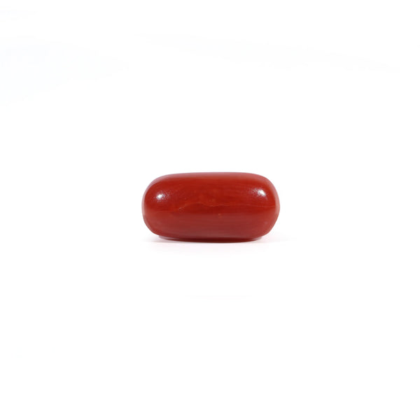 Red Coral - Moonga - 2.55 Carat - Pramogh