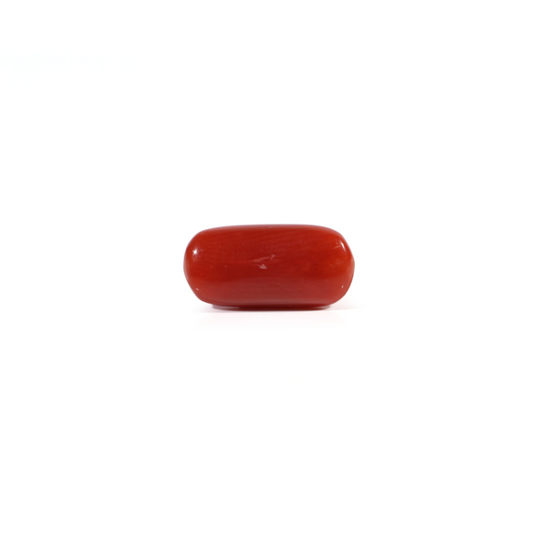 Red Coral - 2.55 Carat