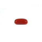 Red Coral - 2.55 Carat