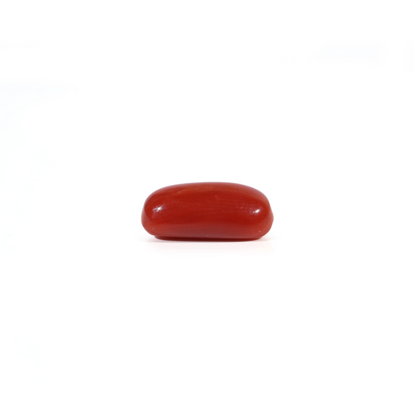 Red Coral - 2.55 Carat