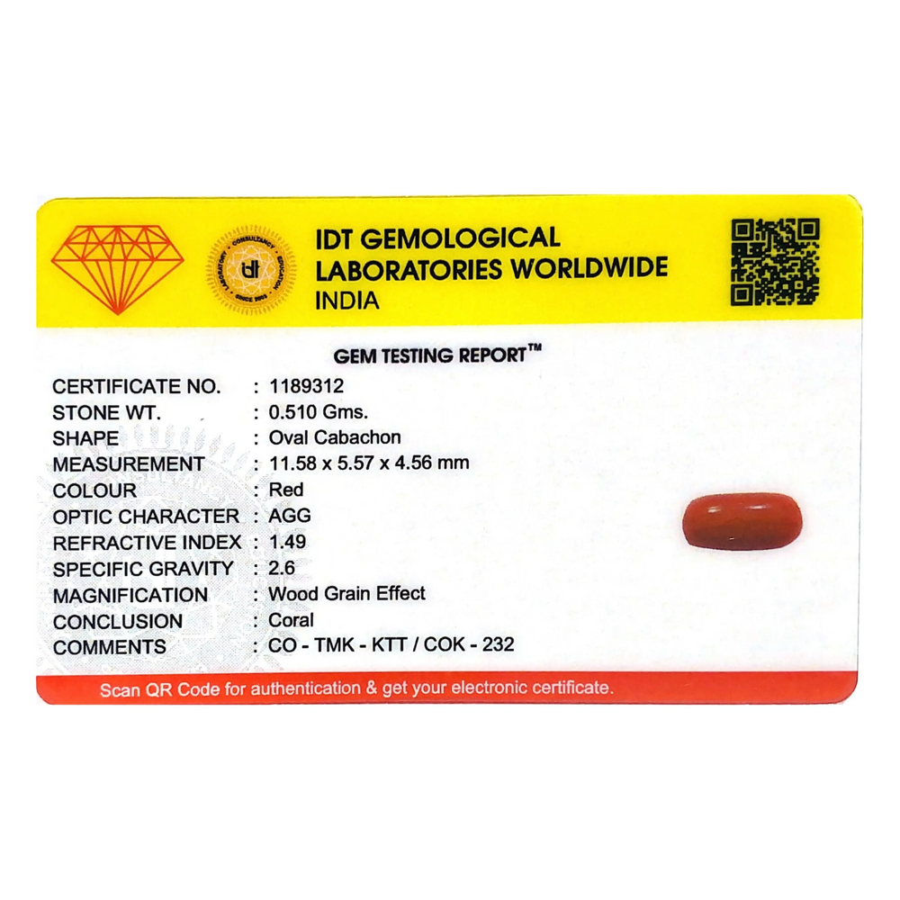 Red Coral - 2.55 Carat