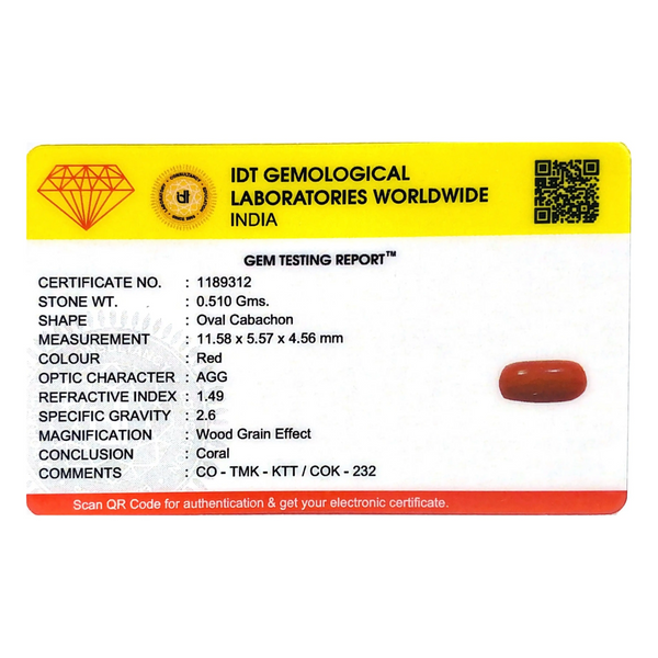 Red Coral - 2.55 Carat