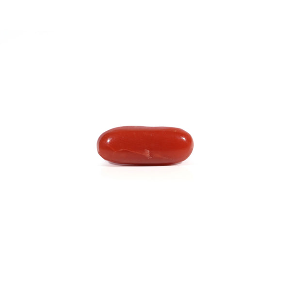 Red Coral - Moonga - 2.75 Carat - Pramogh