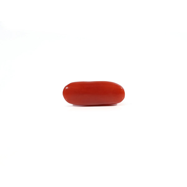 Red Coral - 2.75 Carat