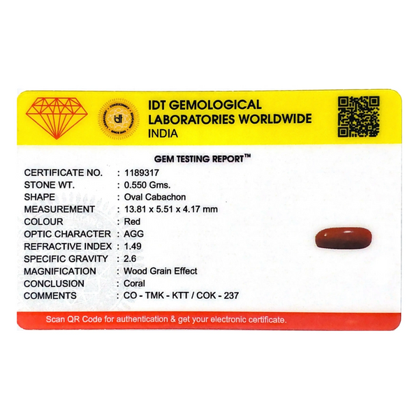 Red Coral - 2.75 Carat