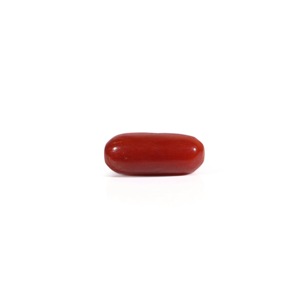 Red Coral - Moonga - 2.75 Carat - Pramogh