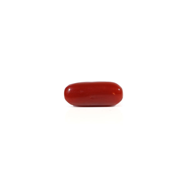 Red Coral - 2.75 Carat