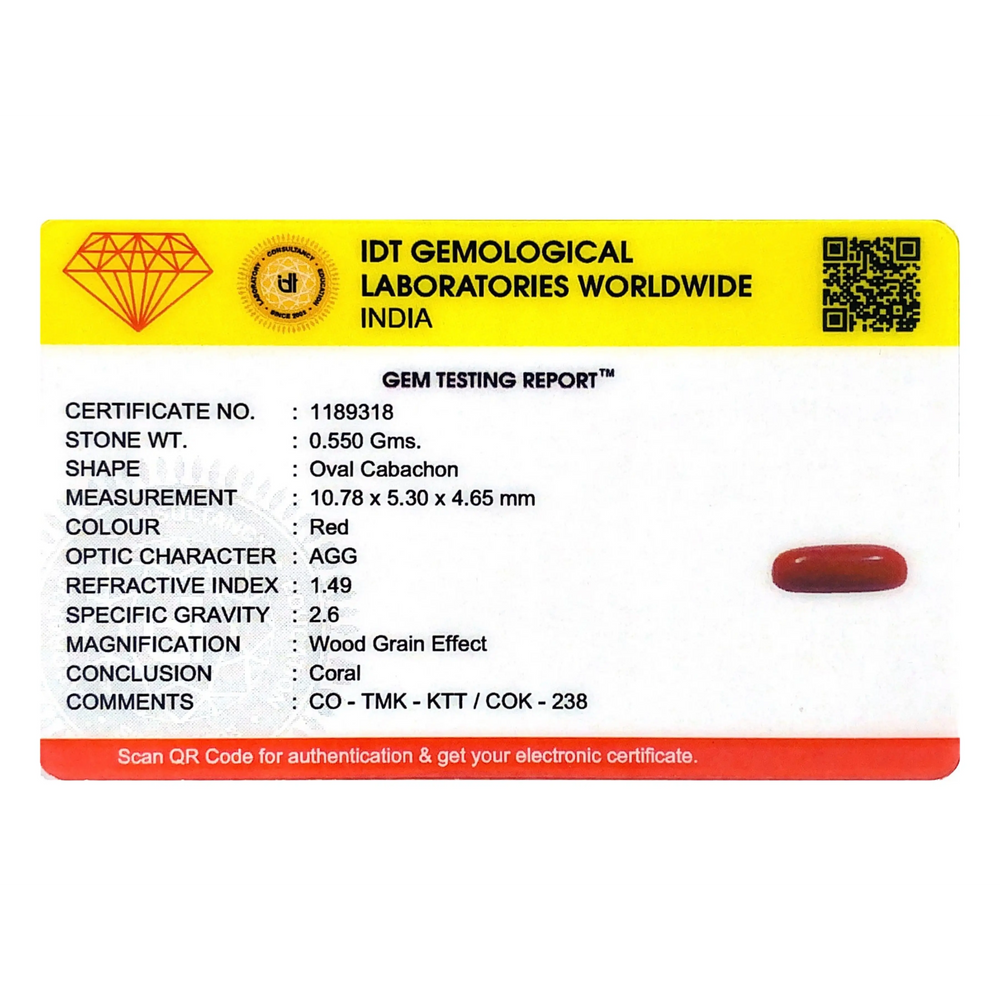 Red Coral - 2.75 Carat