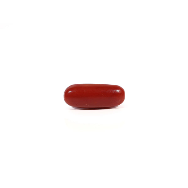 Red Coral - Moonga - 2.85 Carat - Pramogh