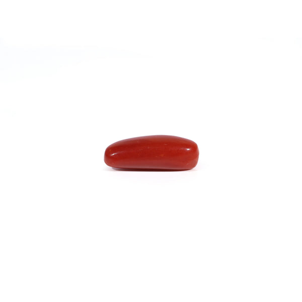 Red Coral - 2.85 Carat