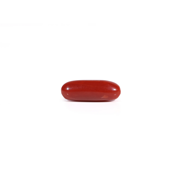 Red Coral - Moonga - 3.35 Carat - Pramogh