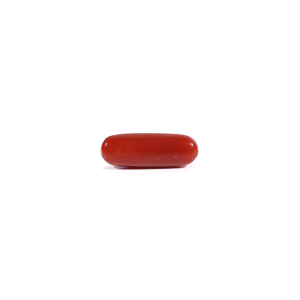 Red Coral - 3.35 Carat