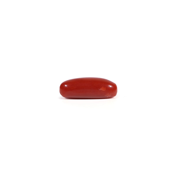 Red Coral - 3.35 Carat