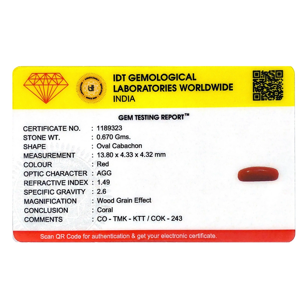 Red Coral - 3.35 Carat