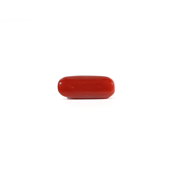 Red Coral - 3.45 Carat
