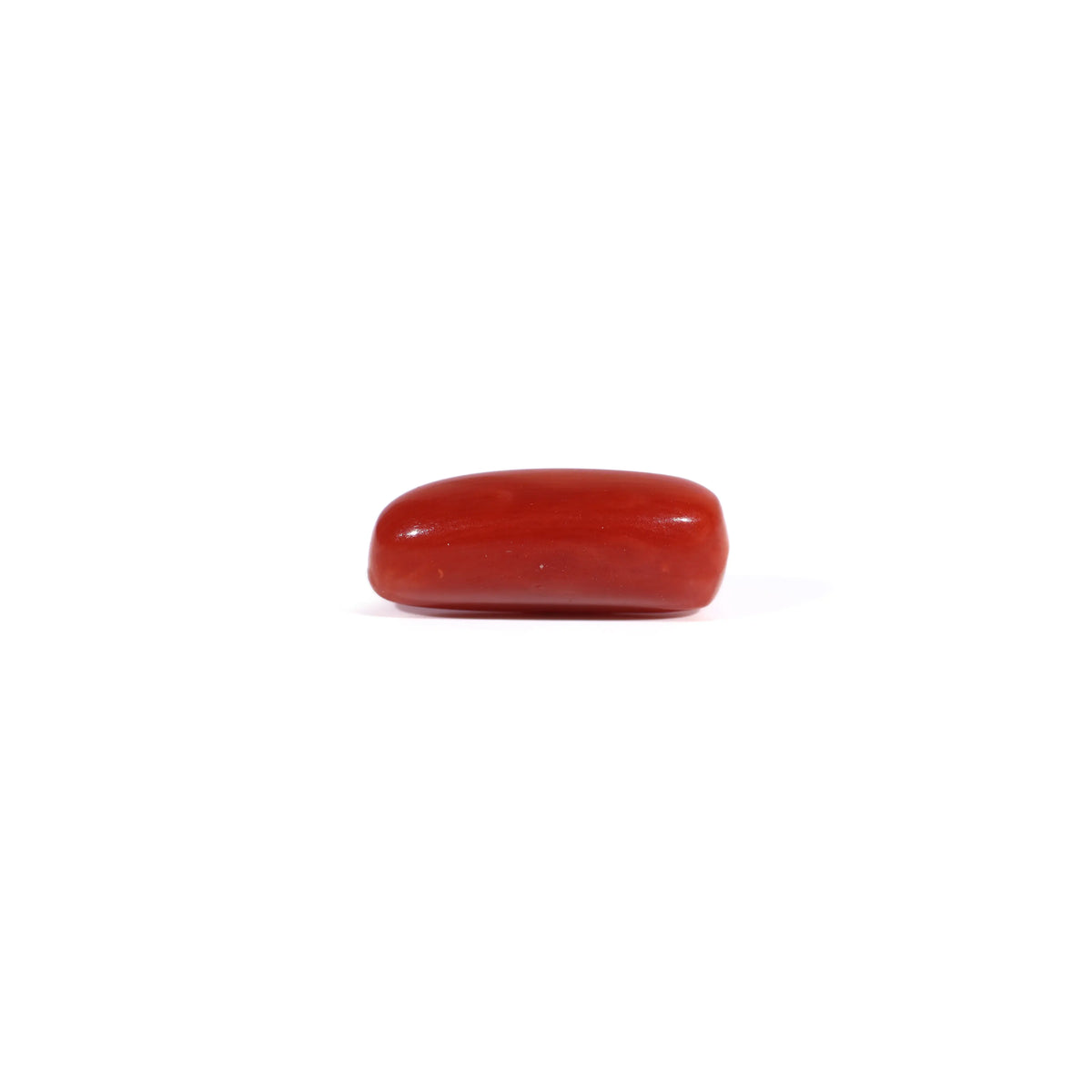 Red Coral - Moonga - 3.45 Carats - Natural and Certified | Pramogh