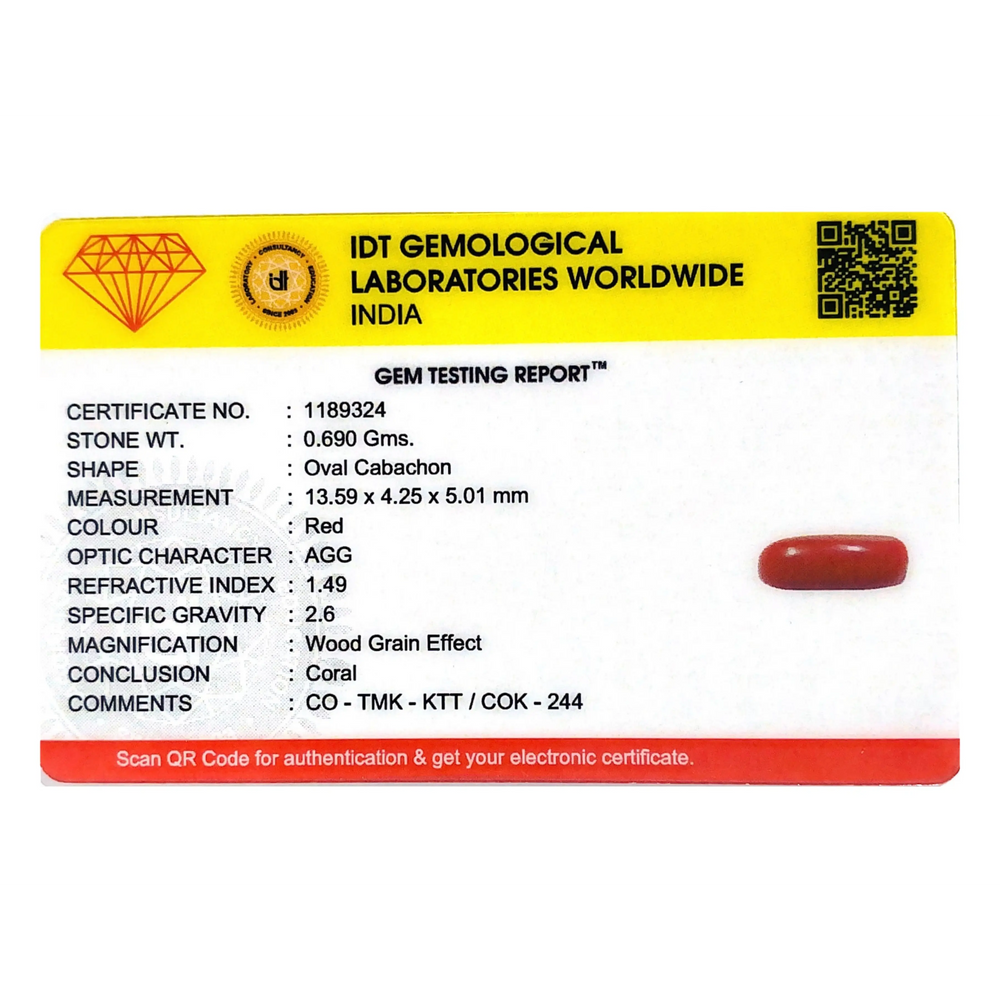 Red Coral - 3.45 Carat