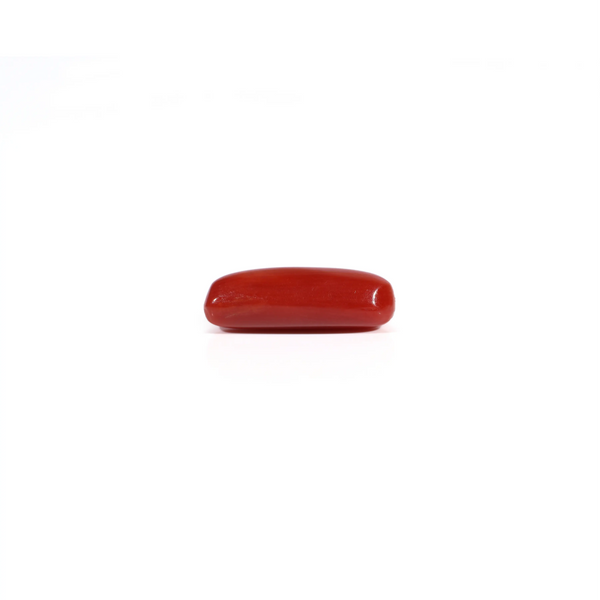 Red Coral - 2.4 Carat