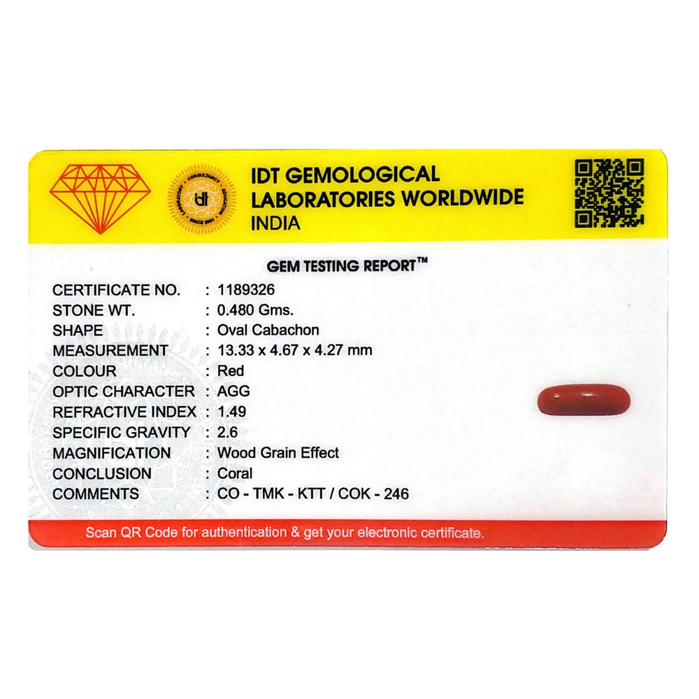 Red Coral - 2.4 Carat