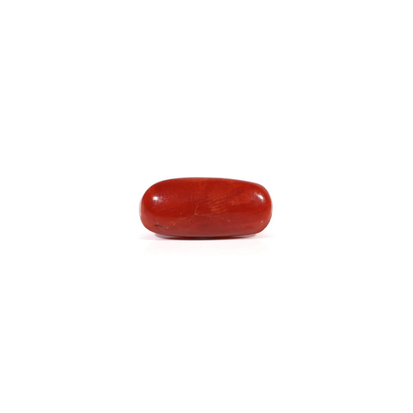 Red Coral - Moonga - 2.48 Carat - Pramogh