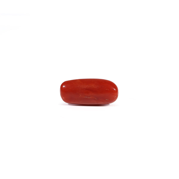 Red Coral - 2.48 Carat