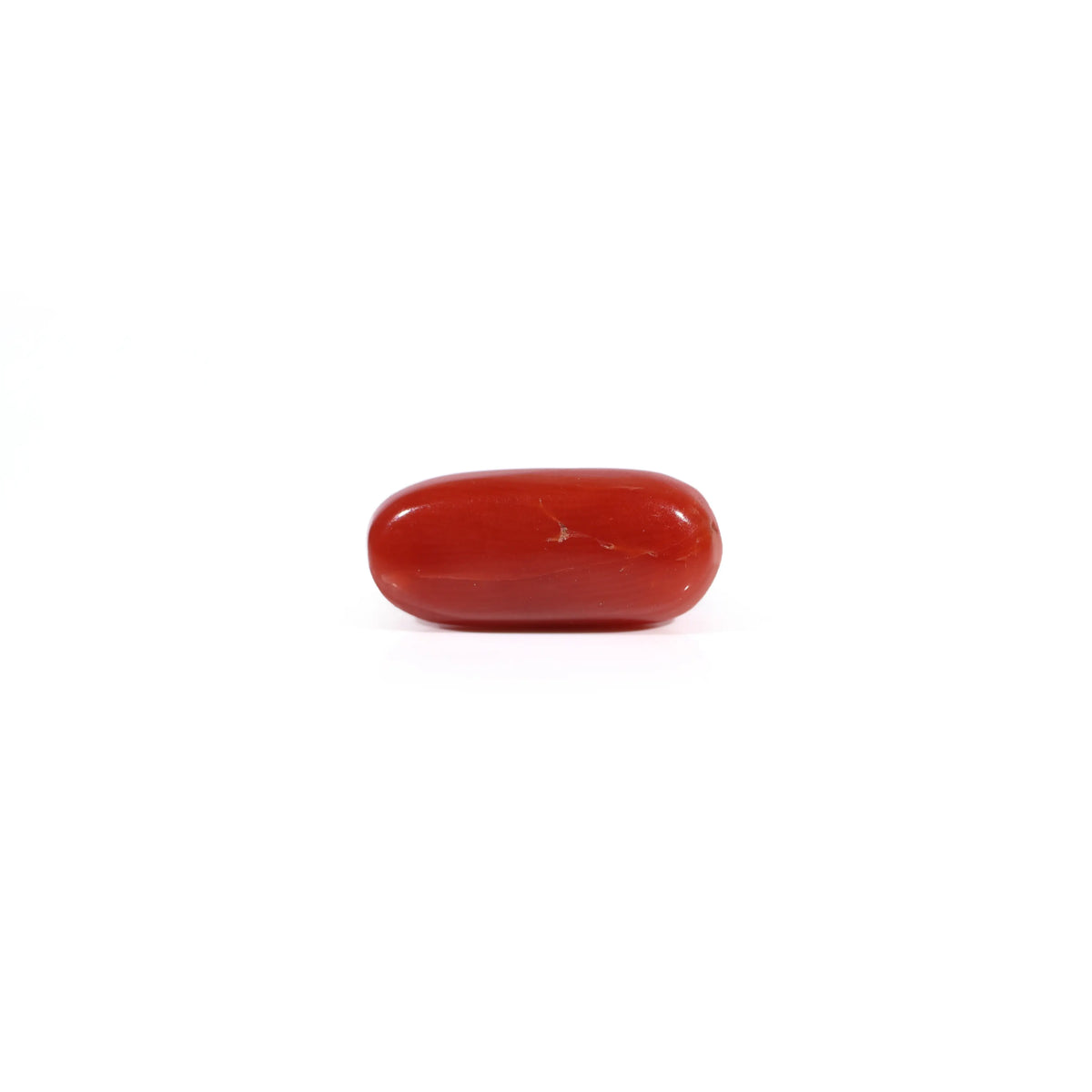 Red Coral - Moonga - 2.55 Carat - Pramogh