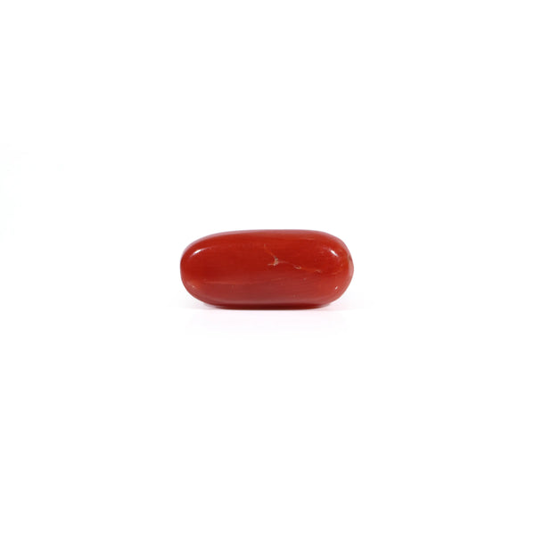 Red Coral - Moonga - 2.55 Carat - Pramogh