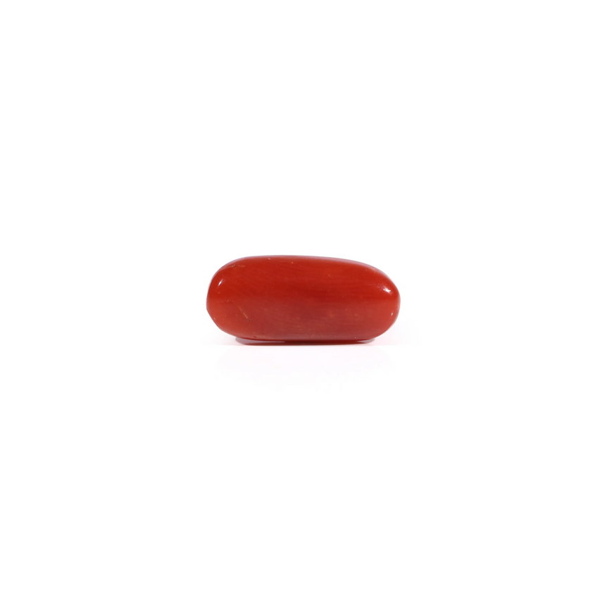 Red Coral - 2.55 Carat