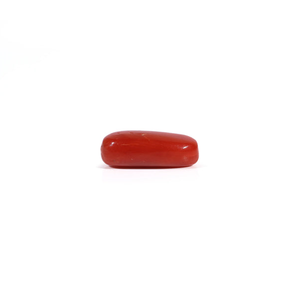 Red Coral - 2.55 Carat