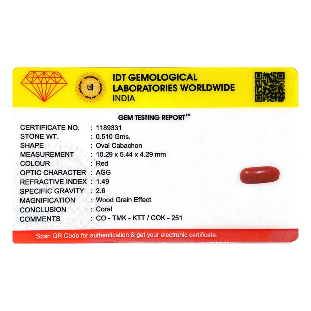 Red Coral - 2.55 Carat