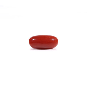 Red Coral - Moonga - 3.05 Carat - Pramogh