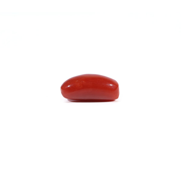 Red Coral - 3.05 Carat