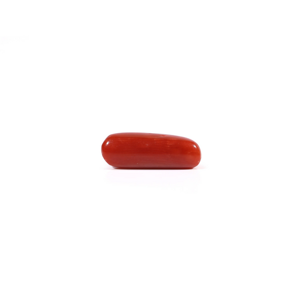 Red Coral - 3 Carat