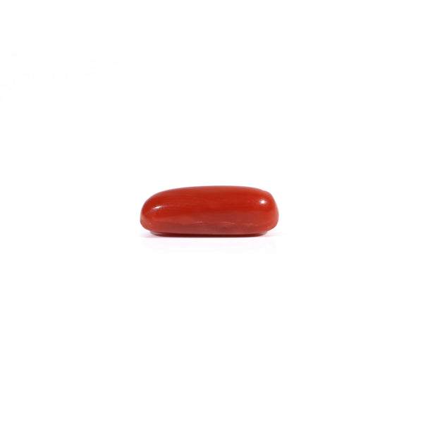 Red Coral - 3 Carat