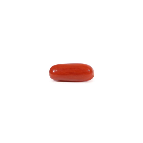 Red Coral - Moonga - 2.53 Carat - Pramogh