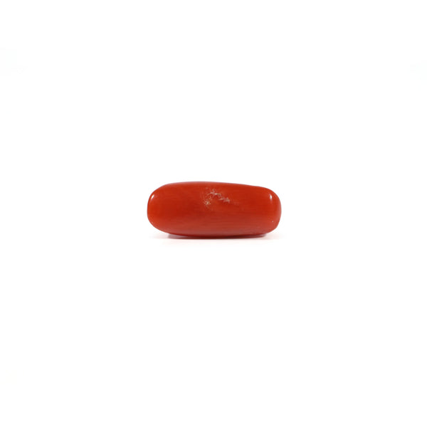 Red Coral - 2.53 Carat